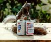 squirrel-beer.jpg