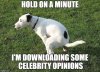 celebrity opinions.jpg