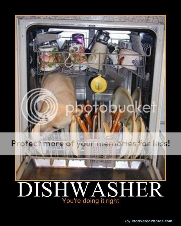DISHWASHER.jpg