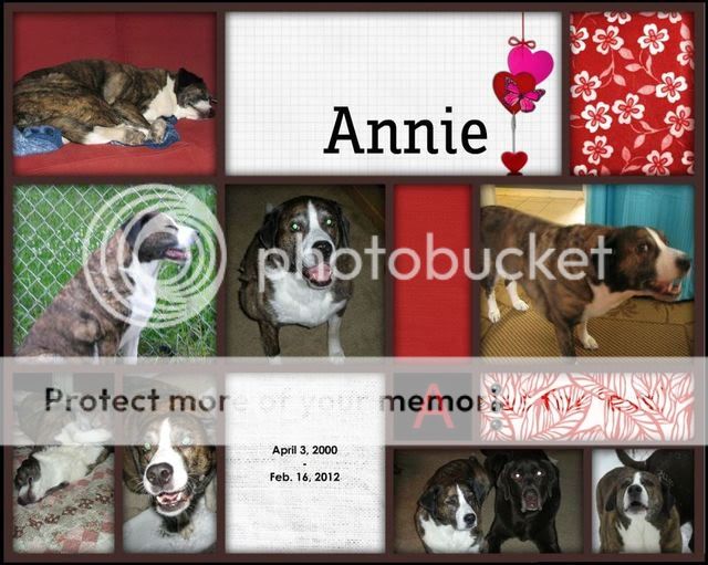 Annie.jpg