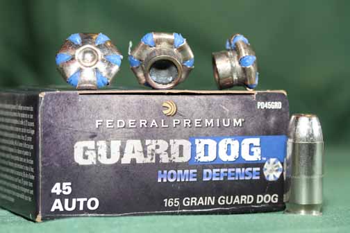 Federal-Guard-Dog00.jpg