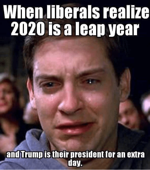 Stupid-Leftists-leap-year-gives-Trump-an-extra-day-in-2020.png