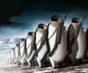 Penguin_Attack_24.jpg