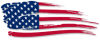 America-Flag 120.png