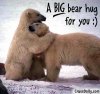 big-bear-hug.jpg