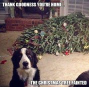 tree faintedl.jpg