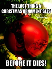 christmas-memes-41.jpg