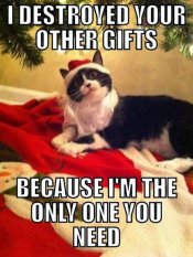 christmas-memes-18.jpg