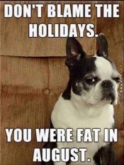 christmas-memes-20.jpg