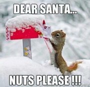 christmas-memes-52.jpg