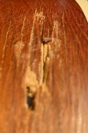 D3801F71-84FA-45AD-BEDB-8FBCD21C2417.jpeg