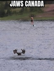 main-qimg-b8210b35fef82d65d6a7fa439ba8246d.jpg