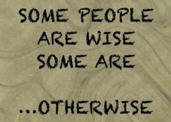 1771467416108.png