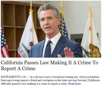 crimecrime.JPG