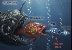 52524C3C-C6F5-414C-8D64-E084E446AF9D.jpeg