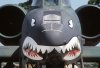 800px-A-10_Thunderbolt_II_Shark_Face.jpg