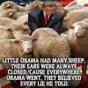 obama sheep.jpg