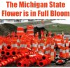 Michigan State FLower.jpg