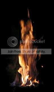 BONFIRE.jpg