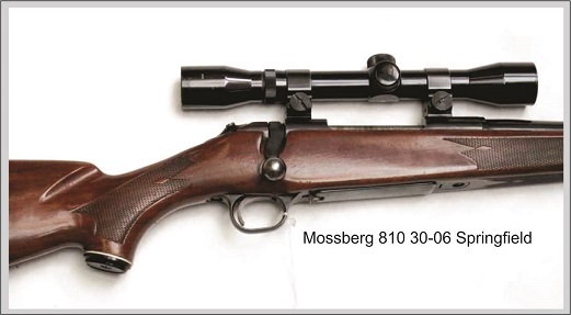 mossberg-810-sm.jpg