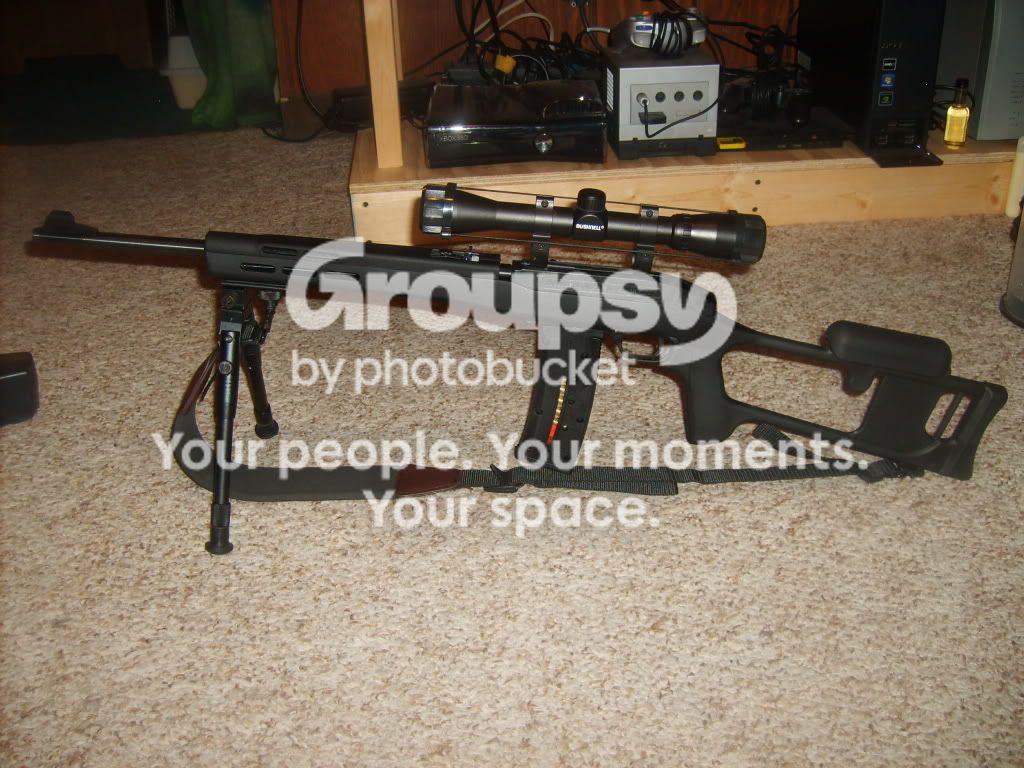 SD530722.jpg