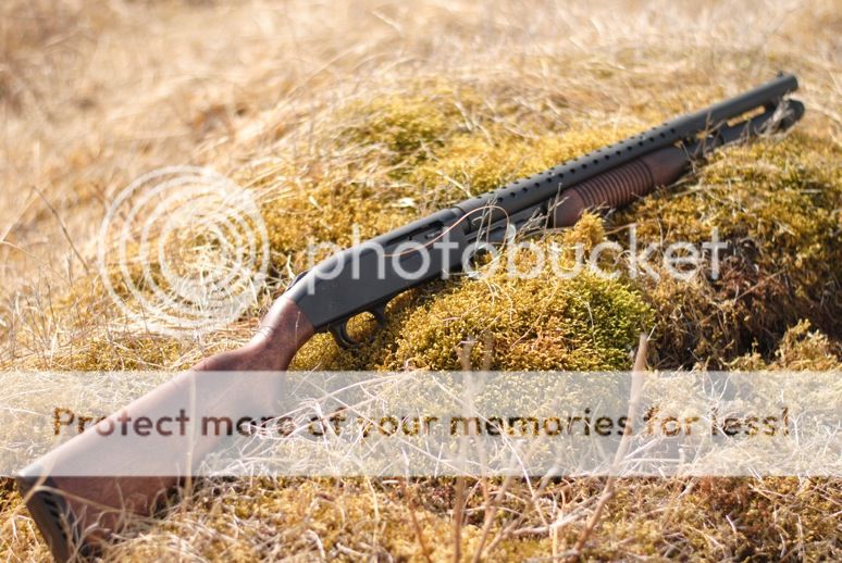 590A1 Wood Furniture Mossberg Owners