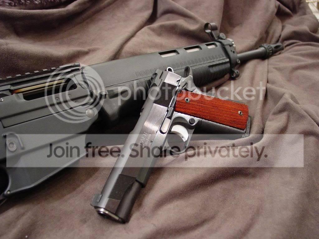 baersig1.jpg
