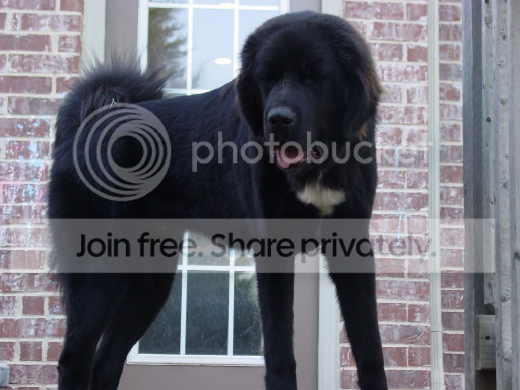 winston3.jpg